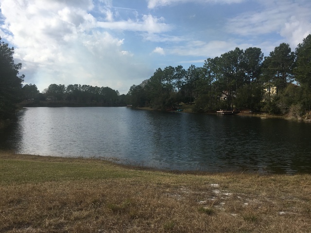 Beautiful Wooded Lakefront Lot