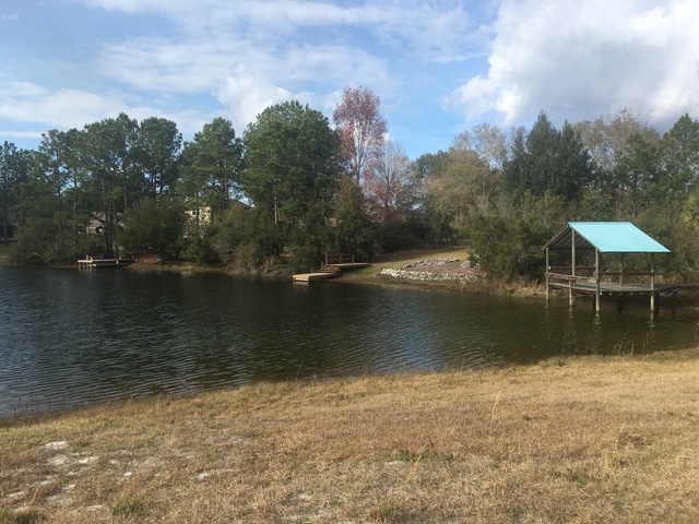 Beautiful Wooded Lakefront Lot