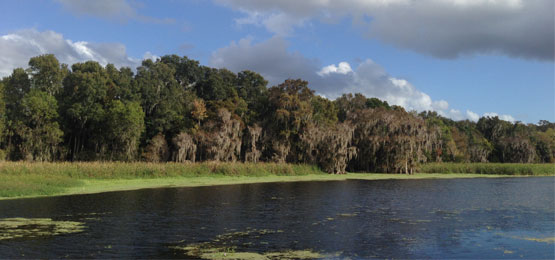 Lakefront